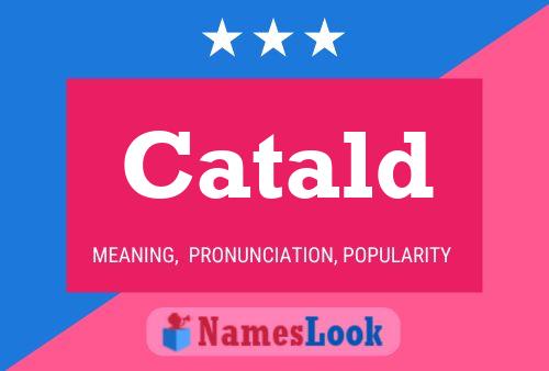 Постер имени Catald