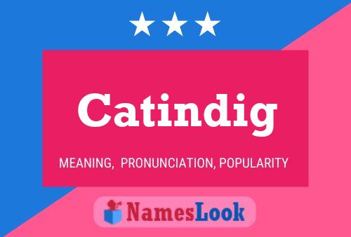 Постер имени Catindig