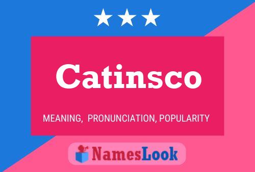 Постер имени Catinsco