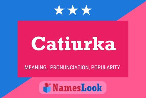 Постер имени Catiurka