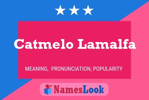 Постер имени Catmelo Lamalfa