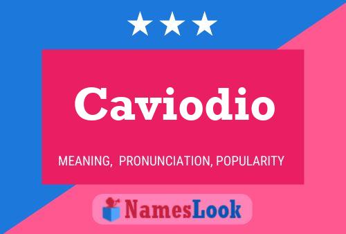 Постер имени Caviodio