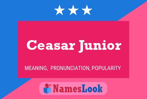 Постер имени Ceasar Junior