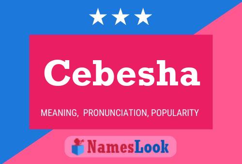 Постер имени Cebesha