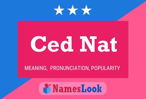 Постер имени Ced Nat