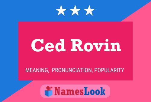 Постер имени Ced Rovin