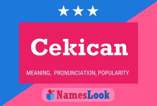 Постер имени Cekican