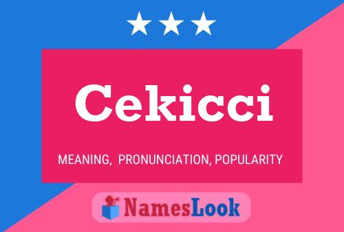 Постер имени Cekicci