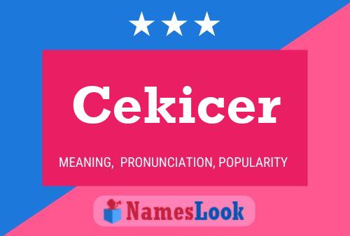 Постер имени Cekicer