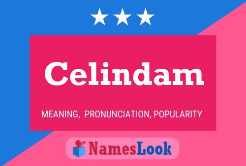 Постер имени Celindam