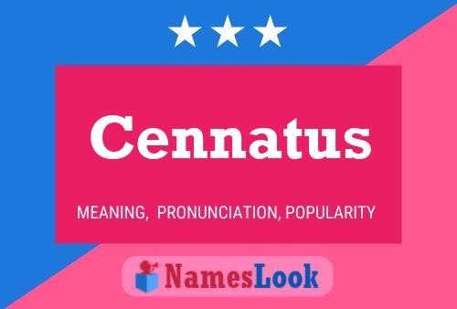 Постер имени Cennatus