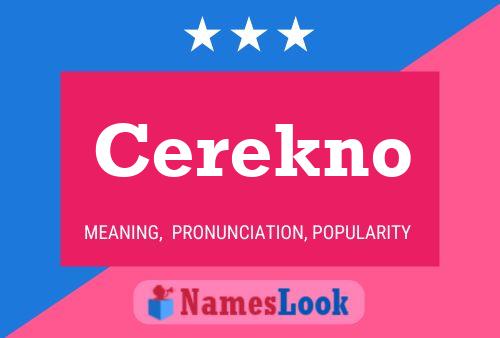 Постер имени Cerekno