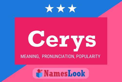 Постер имени Cerys