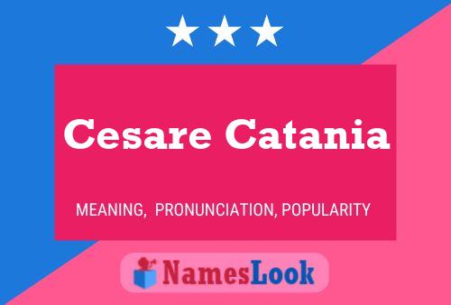 Постер имени Cesare Catania