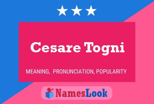 Постер имени Cesare Togni