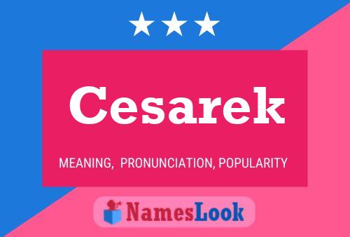 Постер имени Cesarek