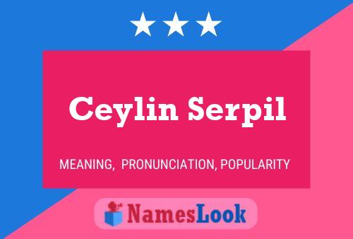 Постер имени Ceylin Serpil