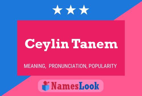 Постер имени Ceylin Tanem