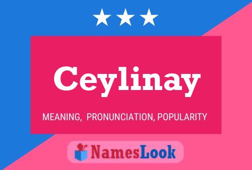 Постер имени Ceylinay