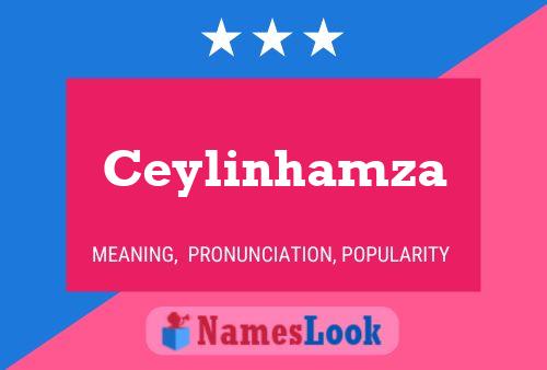 Постер имени Ceylinhamza