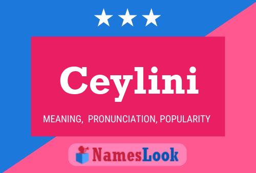 Постер имени Ceylini