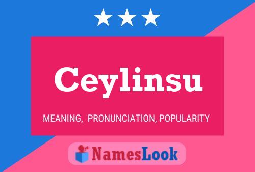 Постер имени Ceylinsu