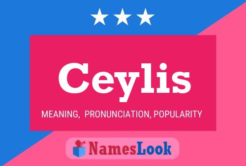 Постер имени Ceylis