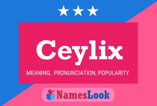 Постер имени Ceylix