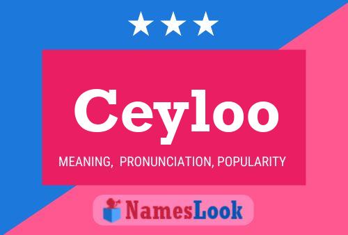 Постер имени Ceyloo