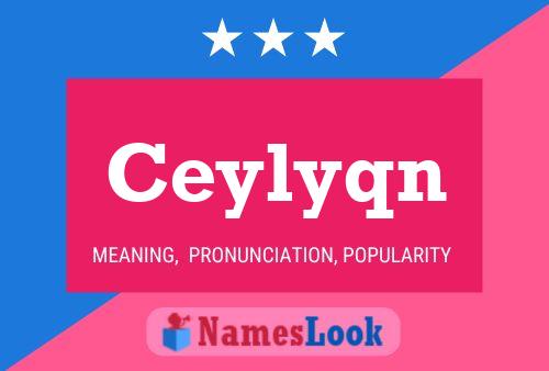 Постер имени Ceylyqn