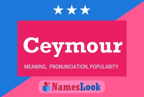 Постер имени Ceymour