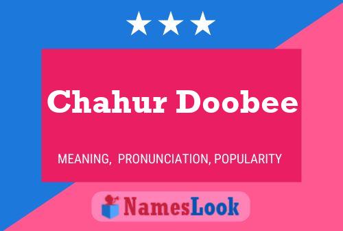 Постер имени Chahur Doobee