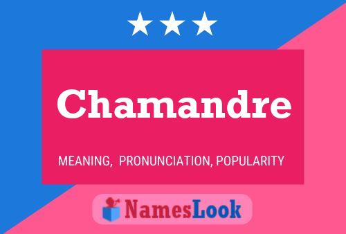 Постер имени Chamandre