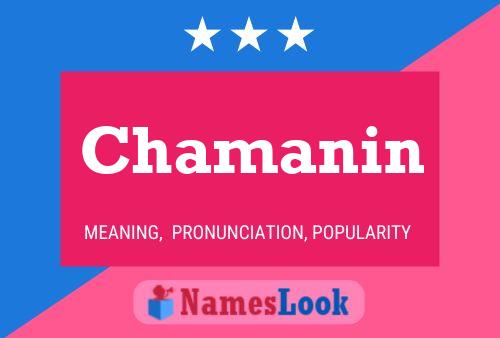 Постер имени Chamanin