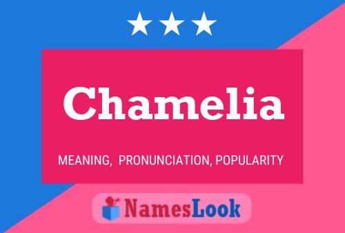 Постер имени Chamelia