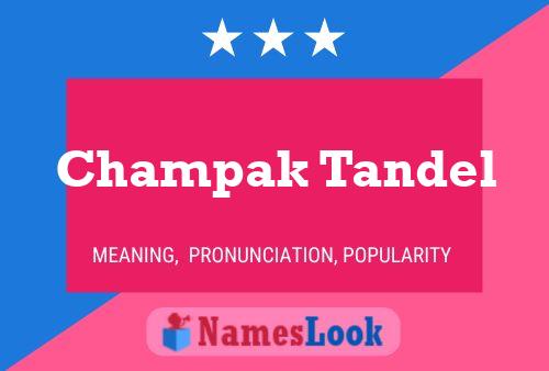 Постер имени Champak Tandel