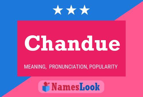 Постер имени Chandue