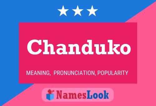 Постер имени Chanduko