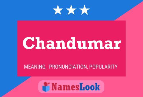 Постер имени Chandumar