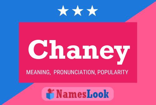 Постер имени Chaney