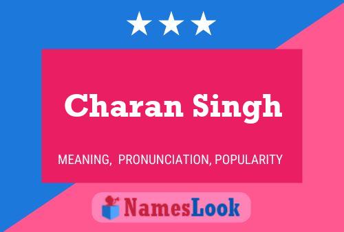 Постер имени Charan Singh