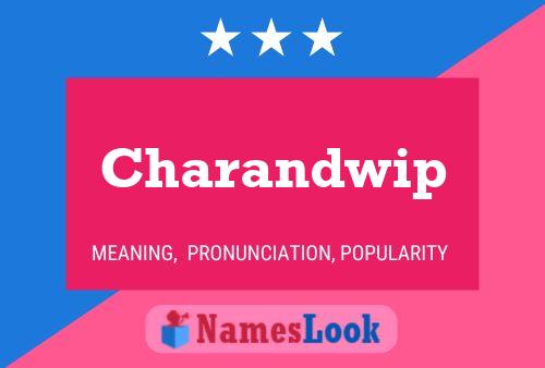 Постер имени Charandwip