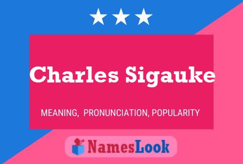 Постер имени Charles Sigauke