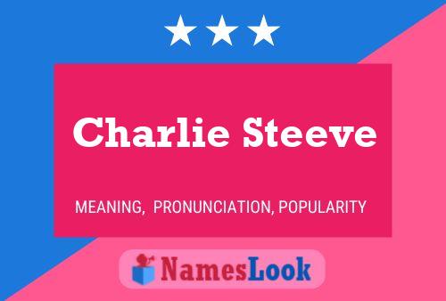 Постер имени Charlie Steeve