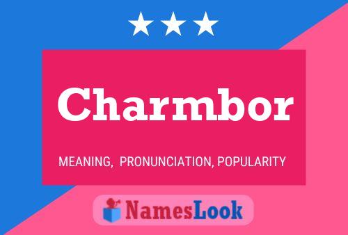 Постер имени Charmbor