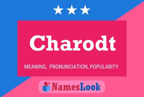 Постер имени Charodt