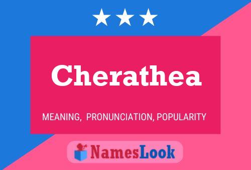 Постер имени Cherathea