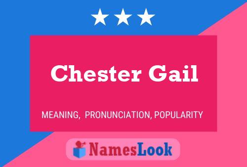 Постер имени Chester Gail