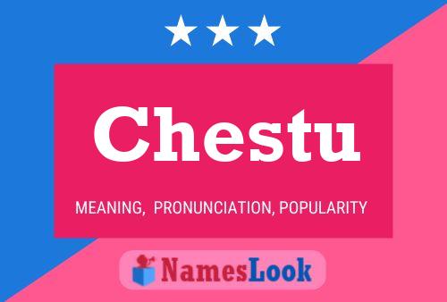 Постер имени Chestu