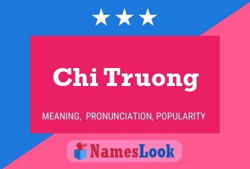 Постер имени Chi Truong